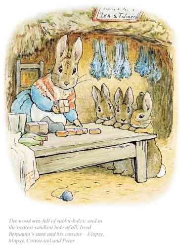 "The neatest sandiest rabbit hole of all" by Beatrix Potter