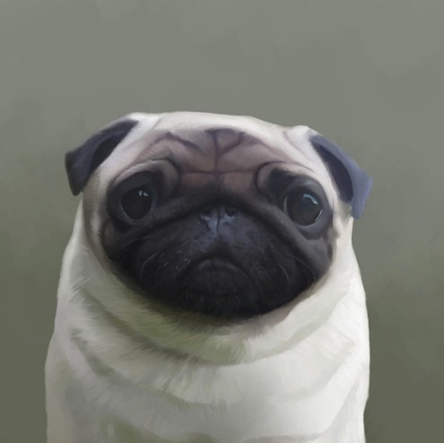 Pugly by Stephen Hanson