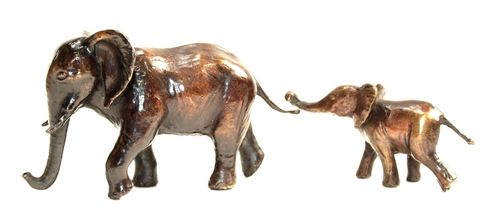 Follow Mum (Elephant and Calf) by Steve Boss