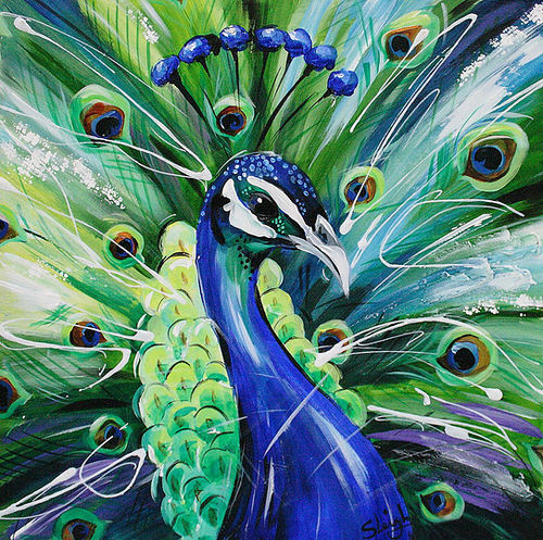 Peacock by Susan B Leigh
