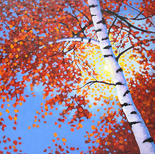 Autumn Sunlight by Jamie Wilson