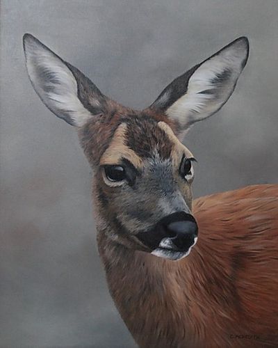Deer by Clive Meredith