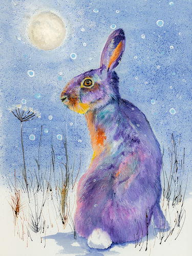 Winter Hare by Christine Purdy