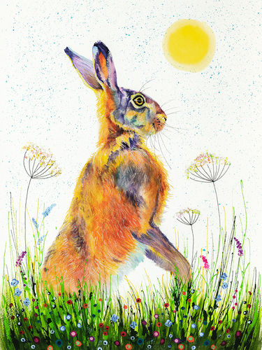 Summer Hare by Christine Purdy