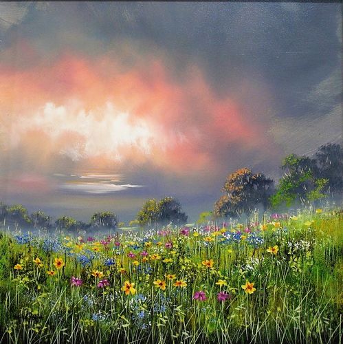 Wild Flower Field by Allan Morgan