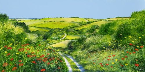 The Poppy Path by Heather Howe