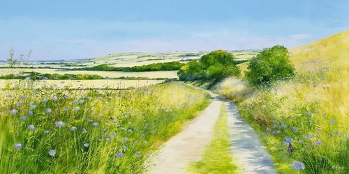 Summer On The Downs by Heather Howe