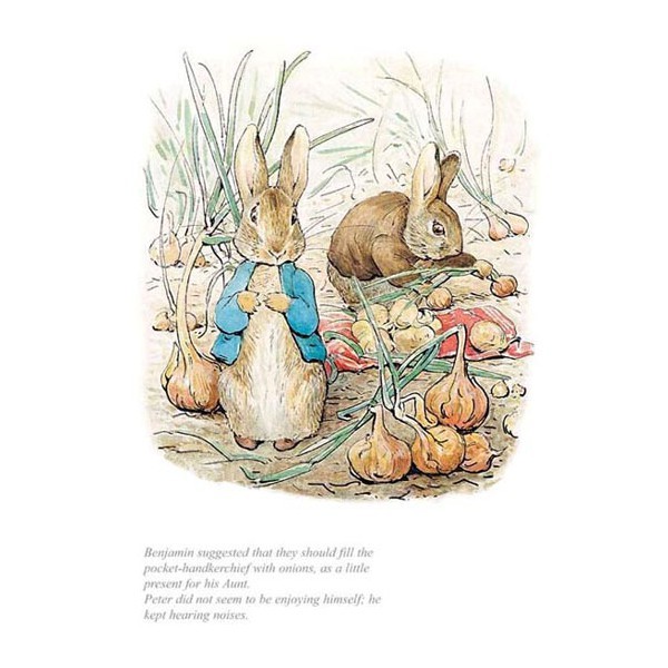 beatrix-potter-benjamin-and-peter-with-onions