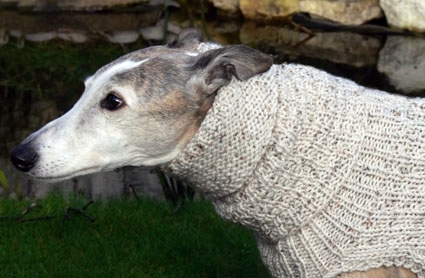 Hand Knitted Dog Snood - Moorland M/L