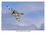 The Last Avro Vulcan XH558 - A4 Mounted Photo