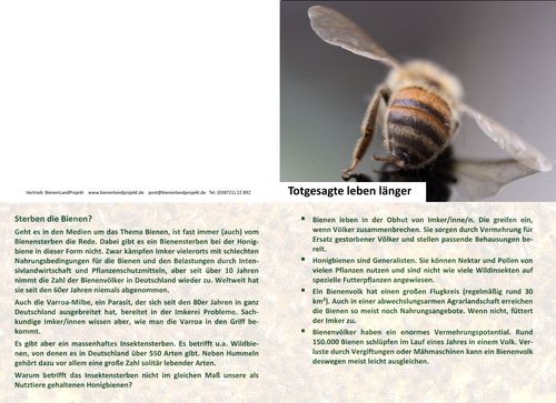Klappkarte: Bienensterben