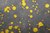 Nina Inky dots yellow/grey