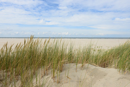 Nordsee-quer-19