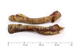 Strossen, ca. 40 cm - 1 Stück