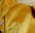 Reststück Helmbold Mohair, Flor ca. 8 mm, glatt dicht, gelbgold, 0,25 x  0,70 m